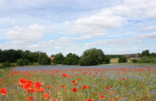 Ferienwohnung "Specker Krug" - Foto 14