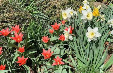 Cottage on King Charming Historic Leesburg Home - Foto 13