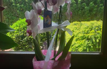 WILLA BAJLAND - Foto 19