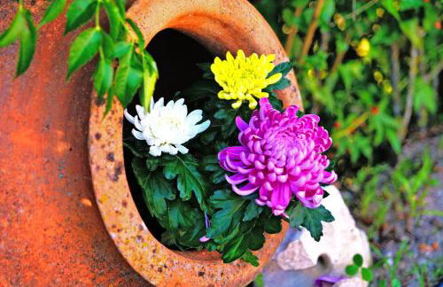 Casal da Rita Natura - Foto 33