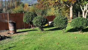 Conkers Cottage - Foto 5, Garden view