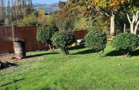 Conkers Cottage - Photo 5