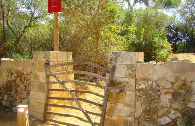 Apartamentos Son Bou Gardens - Foto 26