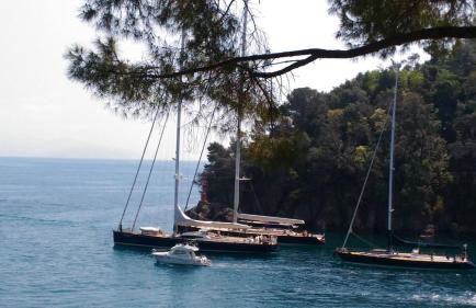 Liguria Home 4 - Recco centro a 2 minuti dal mare - Foto 30