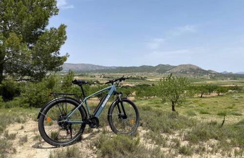 Grapevine Manor - Foto 15