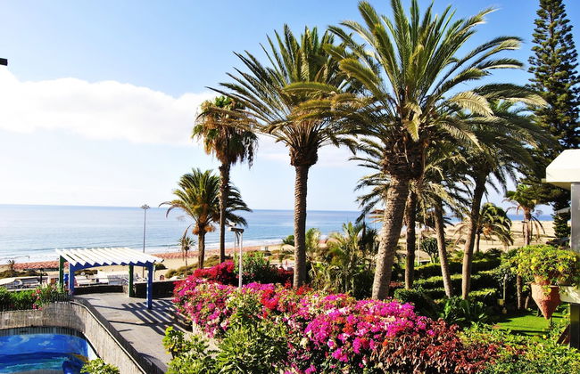 Apartamentos El Paseo - Foto 14