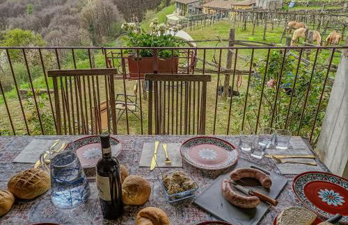 Chalet di montagna in pietra - Val di Chy - Foto 25