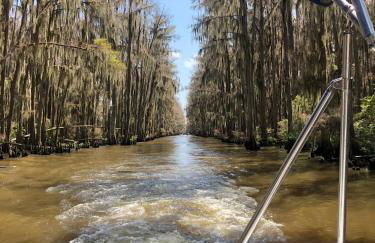 Cypress ChaletCaddo Lake Cabin with Kayaks - Foto 24