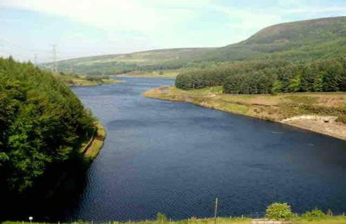 Cherry Blossom cottage - Foto 23