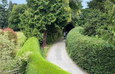 Hedgerows House New Forest - Foto 9