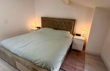 la Résidence Jacquinot - Foto 20