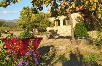 Pago de Yuste - Casa Rural Apartamentos - Foto 29