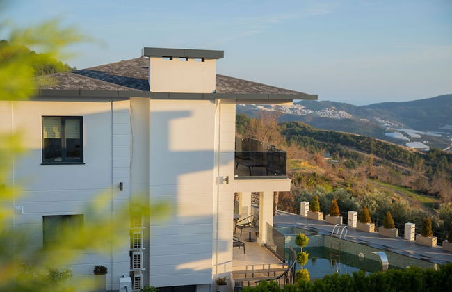 Antique Hills - Foto 36