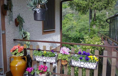 La Margherita di Teriasca - Foto 22