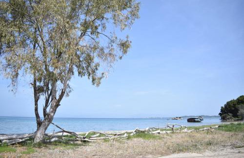 Corfu Seaview Maisonette - Sopra il Mare - Foto 38