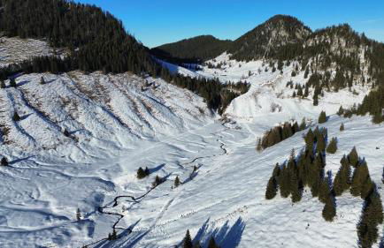 Landhaus Renata - Wendelstein - Foto 27