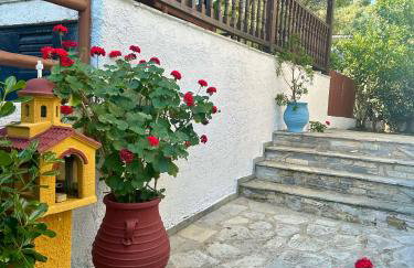 Villa Christina - Foto 42