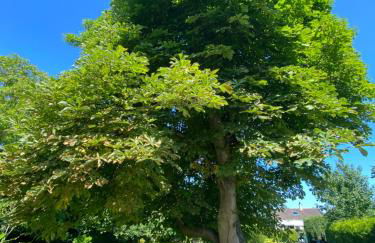 La Maison des Vacances, à deux pas de la mer. - Foto 37