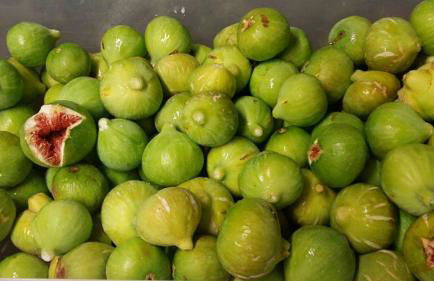 Agriturismo Mirasole - Foto 28