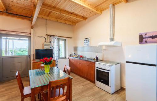 Makarounis Athanasios Traditional Apartments(Ξενώνας) - Foto 48