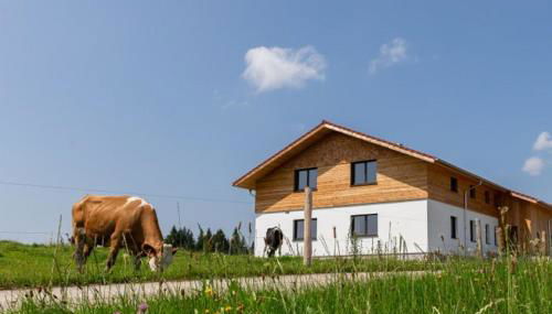 Auszeit Ferienhof - Photo 2