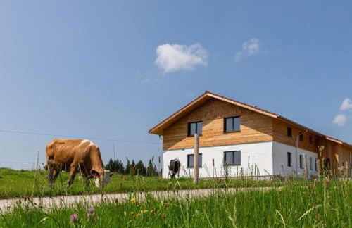 Auszeit Ferienhof - Foto 2