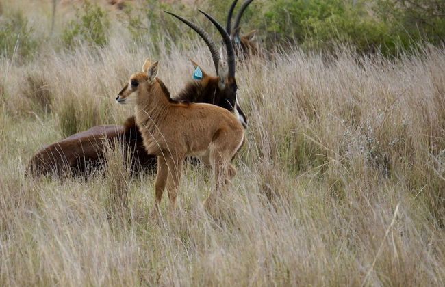 Kwetu Guest Farm - Photo 79