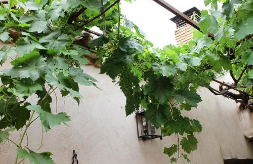 Apartametos rurales la Higuera de José - Foto 5