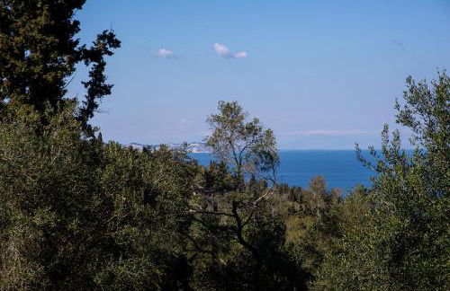 Family's nest - Foto 68