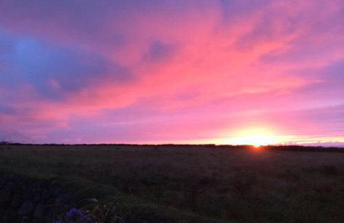 Lower Trowan Cottage - Foto 25