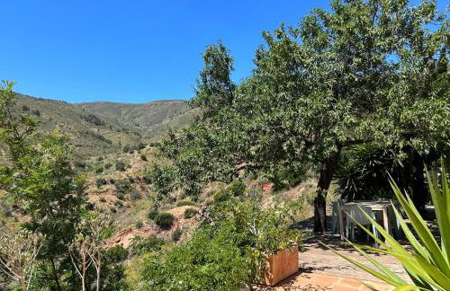 Cortijo Vacas Gordas Villas - Foto 52