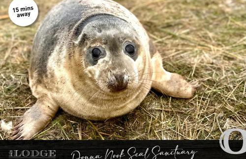 iLodge Ultra - Foto 37