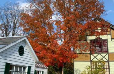 The Cottage in East Poultney - Foto 23