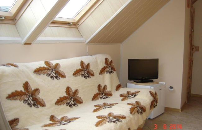 Agroturystyka u przyjaciol Soni - Foto 11