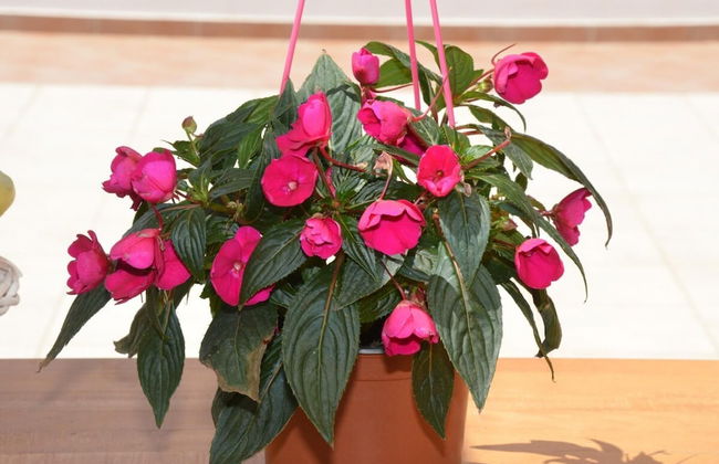 Kostaspant Apartment - Foto 4