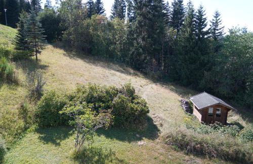 Schwarzwaldblick - Foto 13