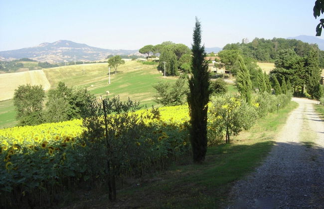 Farmhouse in Proceno With Panoramic Pool - Foto 38