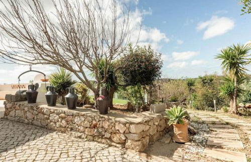 Monte Velho - Foto 9