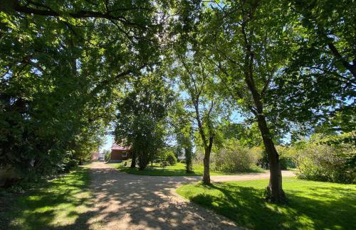 Komoda Tykocin - Foto 28