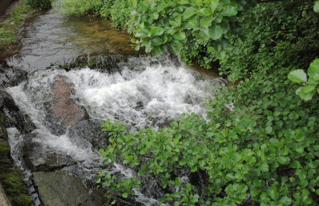 Ferienwohnung in Schiltach - Foto 39