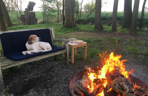 Dachgeschosswohnung Warft Simmerdeis in Reetdachhaus mit parkähnlichem Garten - Foto 21