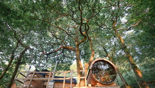 Pine Tree House with Hot tub & Sauna - Foto 1