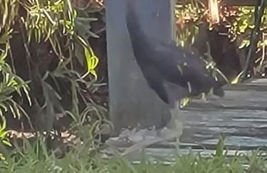 hunker bunker river front 2 - Foto 36