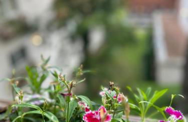 Apto Impecável com piscina aquecida e jacuzzi - Photo 34