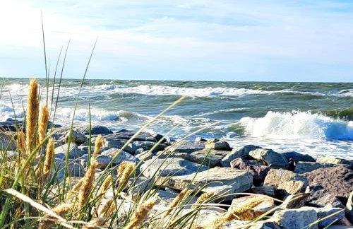 Domki Apartamentowe Rozgwiazdy 20 - Foto 45