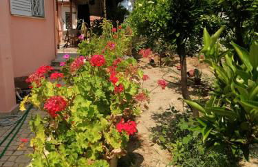 Fella Chalkida - Foto 37