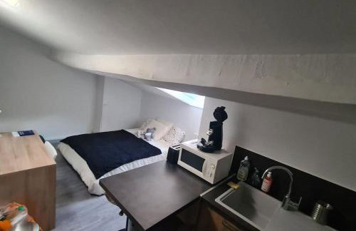 Studio proche de l'université trefilerie - Foto 3