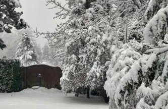 Holiday Home Ferienvilla mit Garten- Grill und Terrasse by Interhome - Photo 44