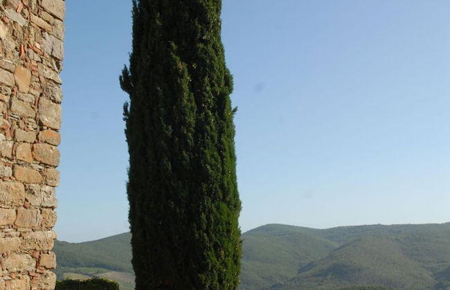 Borgo Castelvecchi - Foto 58