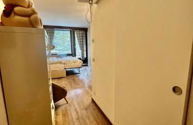 Mazzin Raggio di Sole - Foto 7